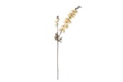 Decoratie - Bloomingville Larkspur - 82061480