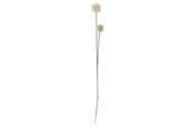 Decoratie - Bloomingville Phlox - 82061506