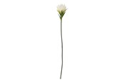 Decoratie - Bloomingville Lily - 82061508