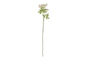 Decoratie - Bloomingville Fennel - 82061513