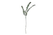 Decoratie - Bloomingville Eucalyptus - 82061514