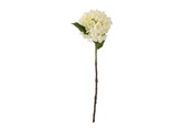 Decoratie - Bloomingville Hydrangea - 82061515