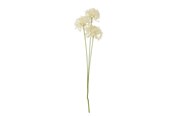Decoratie - Bloomingville Allium - 82061516