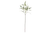 Decoratie - Bloomingville Eucalyptus - 82061520