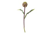 Decoratie - Bloomingville Protea - 82061523
