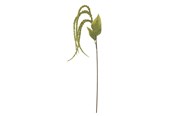 Decoratie - Bloomingville Foxtail - 82061539