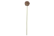 Decoratie - Bloomingville Allium - 82072036