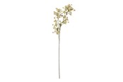Decoratie - Bloomingville Waxflower - 82072037