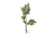 Decoratie - Bloomingville Pine - 82072352