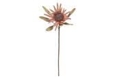 Decoratie - Bloomingville Protea - 82072832