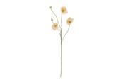 Decoratie - Bloomingville Poppy - 82072833