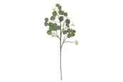 Decoratie - Bloomingville Eucalyptus - 82072835