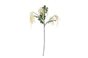 Decoratie - Bloomingville Reed - 82072841