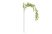 Decoratie - Bloomingville Reed - 82072842