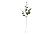 Decoratie - Bloomingville Eucalyptus - 82072850
