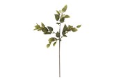 Decoratie - Bloomingville Eucalyptus - 82072851