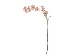 Decoratie - Bloomingville Wild Cherry - 82072852