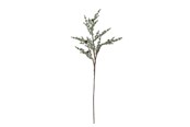 Decoratie - Bloomingville Pine - 82072349