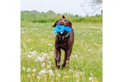 Honden - Nobby Bæver Floating - L61512