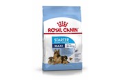 Honden - Royal Canin Maxi Starter Mother & Babydog - 3182550778787