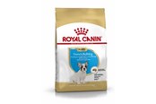 Honden - Royal Canin French Bulldog Puppy - 3182550777674