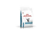 Katten - Royal Canin VET FELINE HYPOALLERGENIC DR25 2.5 kg - 3182550939478