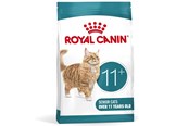 Katten - Royal Canin ROYAL AGEING 11+ STERILISED Dry Food Cat Senior 1 - 3182551066036