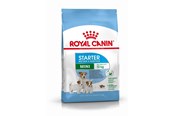 Honden - Royal CANINE STARTER Mini 4 kg - 3182550932707