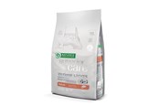 Honden - Nature's Protection Superior Care White Dogs Grain Free Junior Small Białoryba - dry food for puppies - 10 kg - 4771317458353
