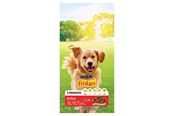 Honden - PURINA NESTLE Friskies Active - dry dog food - 10 kg - 7613031395484