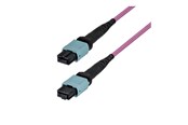 Netwerk - kabel - StarTech.com Startech patch cable - 1 m - erika violet - Paars - OM4MTP12BOFNP1M