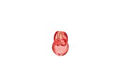 Parfum en geuren - Bvlgari Omnia Coral Eau de toilette - 100 ml - 783320425493