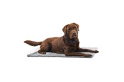 Honden - KRUUSE Vet Bed, antislip, grijs, 75 x 50 cm - 381614