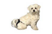 Honden - KRUUSE BUSTER loopsheidbroekje zwart maat 2 - 286002