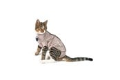 Katten - KRUUSE BUSTER Body Suit Step'n Go voor Kat, XXXS - 273946
