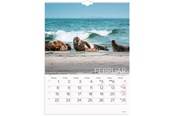 Kalender - Mayland Vægkalender Verdens dyr 2027 - 27066330