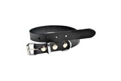 Honden - Timely PRAG halsband zwart 16 mm. / 45 cm. - 5907784897091