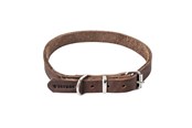Honden - Timely PRAG halsband donkerbruin 16 mm. / 40 cm. - 5907784896988