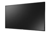 Digital Signage & Hotel - Neovo AG  PD-55Q PD Series - 55" Class (54.6" viewable) LED-backlit LCD display - 4K - for digital signage - PD55Q011M000