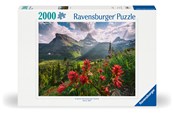 Puzzels - Ravensburger Ongerepte bergen 2000p Blok - 12001415