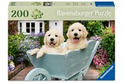 Puzzels - Ravensburger Golden Retriever 200p Ad - 12001368