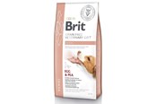 Honden - Brit GF Veterinary Diets Renal - droog hondenvoer - 12kg - 8595602528189