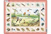 Puzzels - Larsen Puzzles Nature Puzzle: Pond – 48 pieces Maxi (36.5 x 28.5 cm) 2D Puzzels - NA3