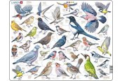 Puzzels - Larsen Puzzles Garden Birds Jigsaw Puzzle – 69 pieces Maxi (36.5 x 28.5 cm) 2D Puzzels - ZOO4-V1