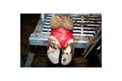 Horses - KRUUSE BOVIVET Hoof Bandage 10/pk - 220420