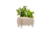 Decoratie - Simiu - Thalor Herbs - kruiden bloempot - Groot - 5714255019612