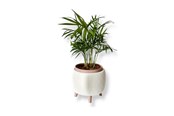 Decoratie - Simiu - Thalor - kruidenpot met poten - Ø: 9 cm - Wit-marmer/klei bruin - 5714255019506