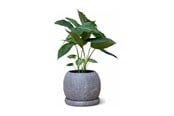 Decoratie - Simiu - Morra - Bloempothoes - Ø11,5 CM - 5714255019872