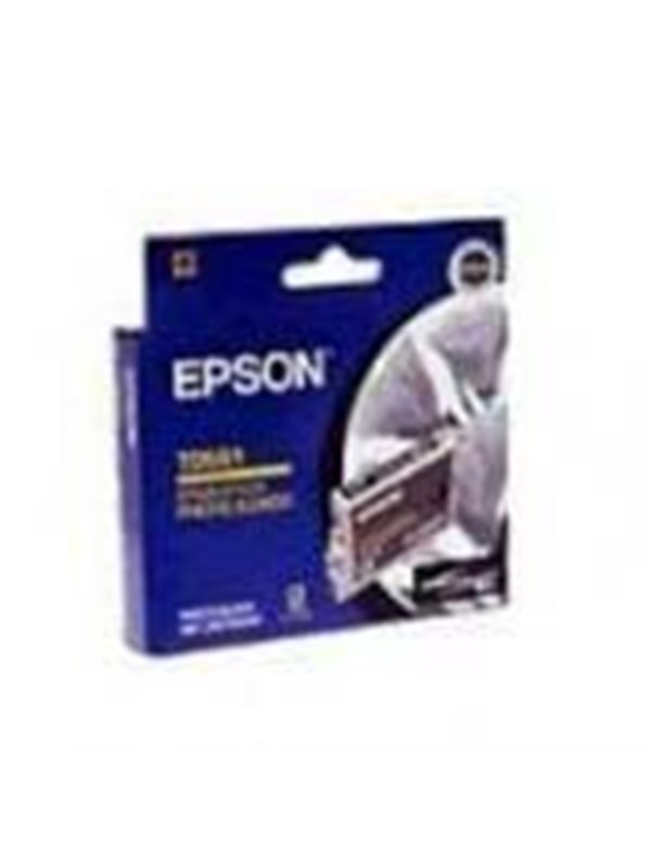Epson T6067 inktcartridge licht zwart hoge capaciteit (origineel)