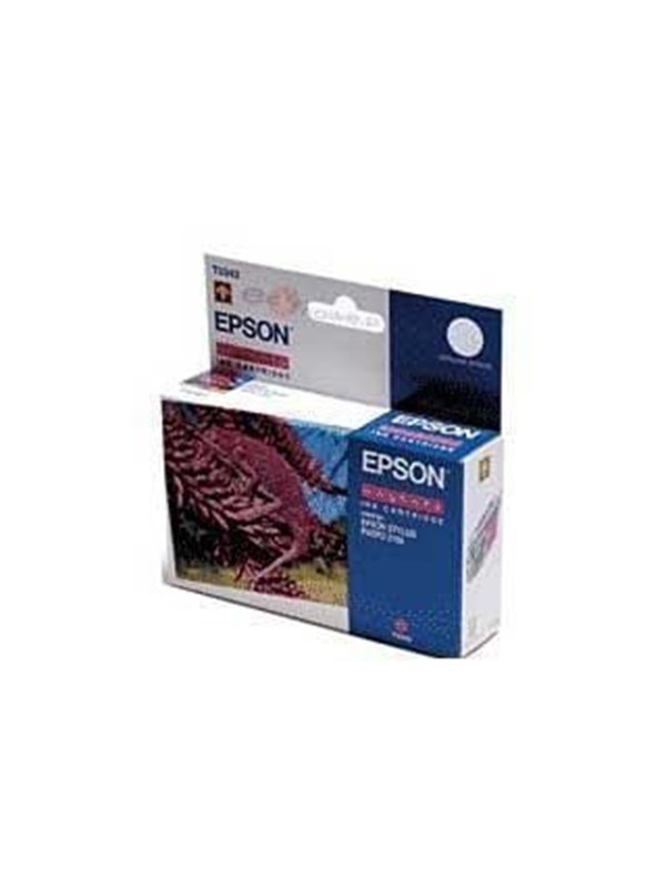 Epson T6069 inktcartridge licht licht zwart hoge capaciteit (origineel)